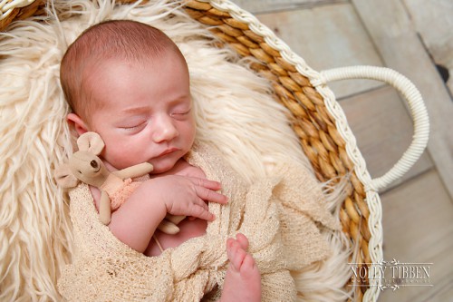  | Newbornshoot babymeisje uit Olst
