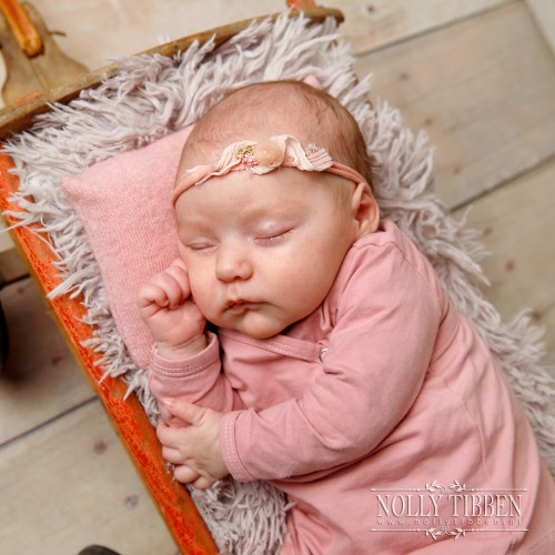  | Baby 5 weken oud uit Lettele